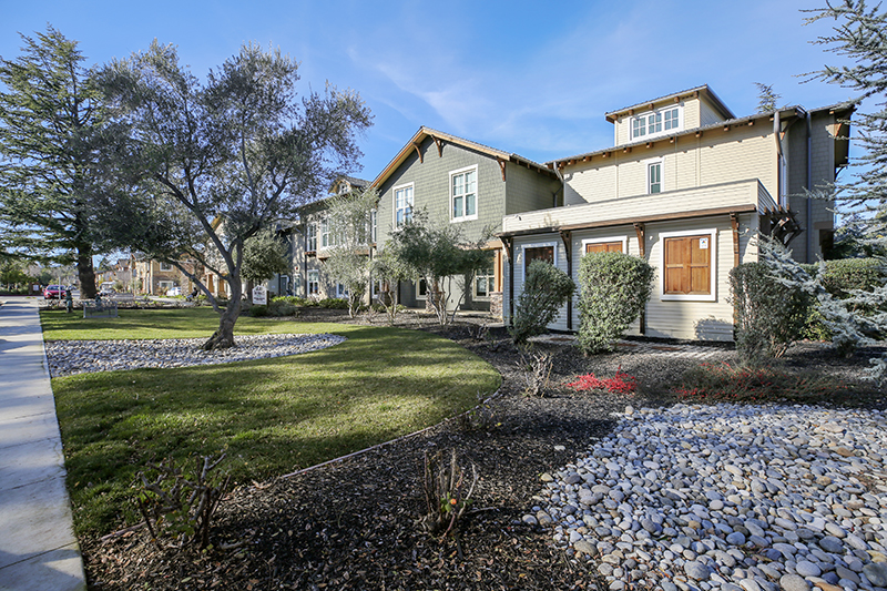 Explore The Terraces at Los Altos A HumanGood Community